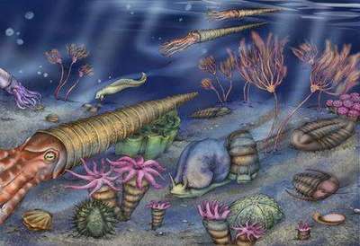 寒武紀(jì)生命大爆發(fā) 地球生命形態(tài)的驟然綻放